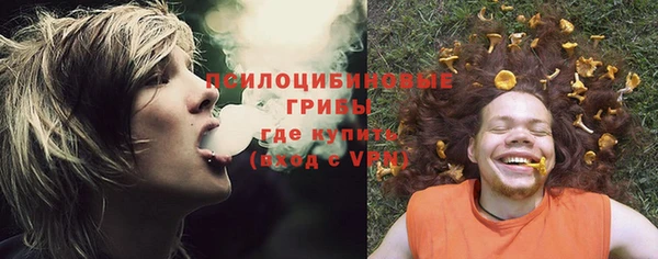 прущая мука Алзамай