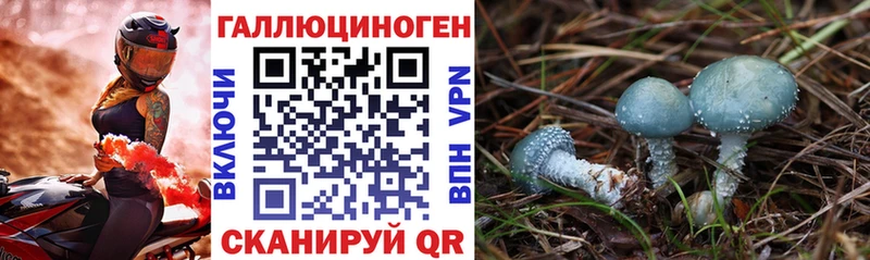 сколько стоит  Кимры  Галлюциногенные грибы Cubensis 